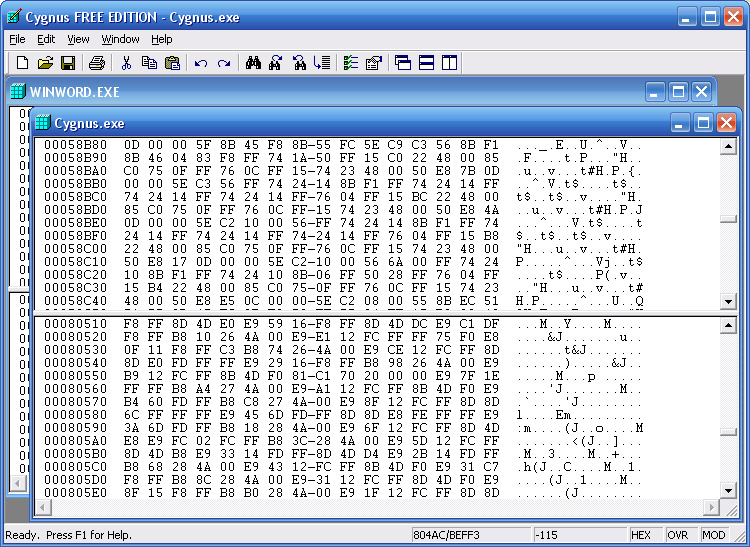 Cygnus Hex Editor FREE EDITION 1.00 full